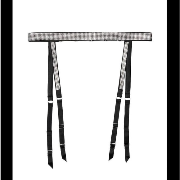 NWT Victoria’s Secret Shine Strap Garter Belt size M/L DISCONTINUED - Picture 1 of 2